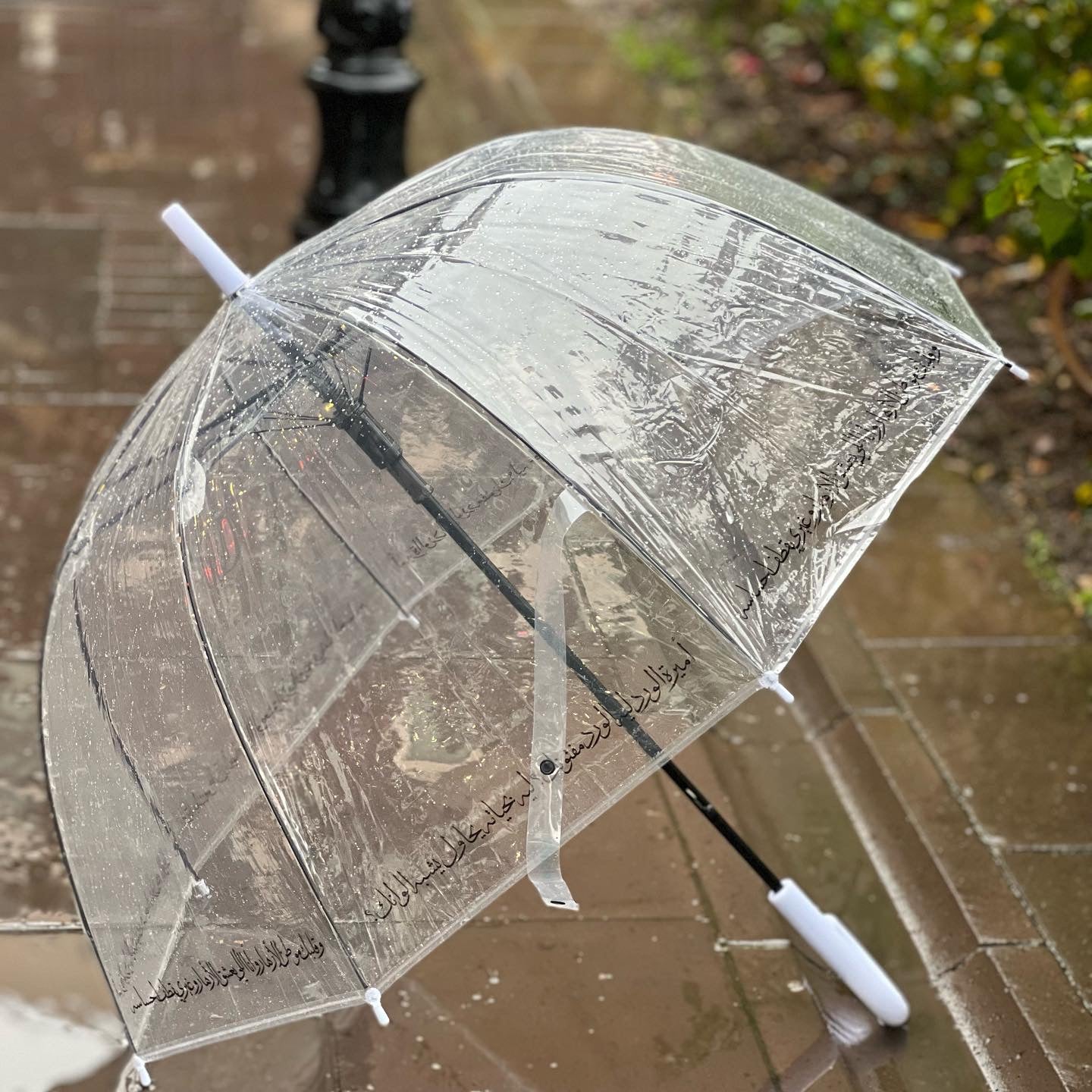 مظلة umbrella